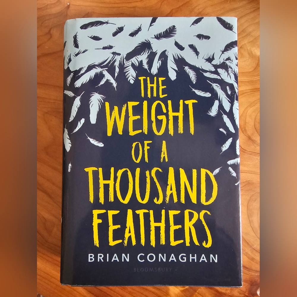 The Weight of a Thousand Feathers Book - Picture 1 of 2
